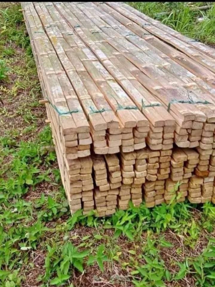 cecdd635 a860 4f34 b396 38c1fa066ba4