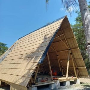 48e37ce8 baaa 4137 882b f5937350a3ad