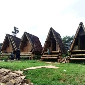 82a451c3 fe67 49b8 93d2 ee3678a841bc